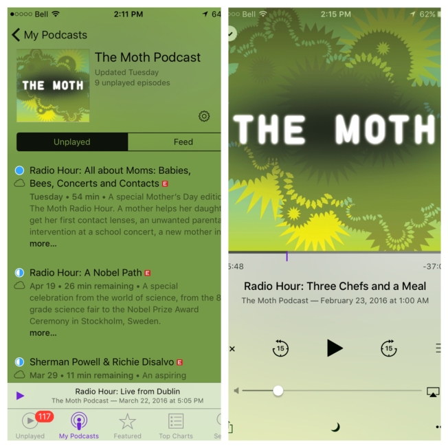 The Moth Podcast